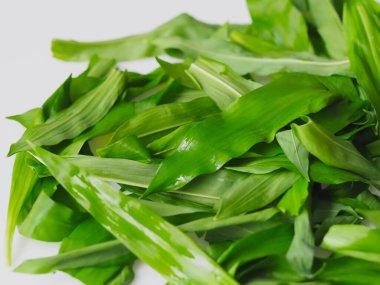 Vahşi karaciğer pişirme Allium ursinum taze yapraklar beyaz arka planda izole