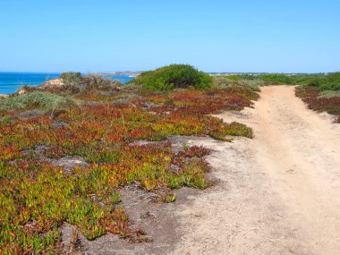 Wonderful hike of the fishermans trail named Rota Vicentina through the beautiful nature of Portugal clipart