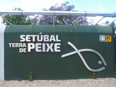 Species of fish with explanation in the land of fish named Terra de Peixe in Setubal in Portugal clipart