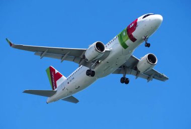 TAP Air Portugal uçağı mavi gökyüzünde tek başına uçuyor.