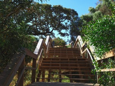Portekiz, Lagos 'taki Praia de dona plajından yeni ahşap kaldırımlarda Ponta de Piedade' ye yürüyüş.