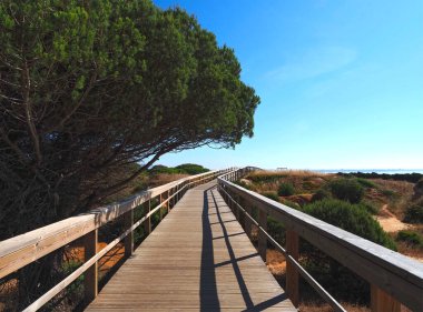Portekiz, Lagos 'taki Praia de dona plajından yeni ahşap kaldırımlarda Ponta de Piedade' ye yürüyüş.