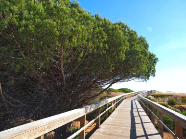 Portekiz, Lagos 'taki Praia de dona plajından yeni ahşap kaldırımlarda Ponta de Piedade' ye yürüyüş.