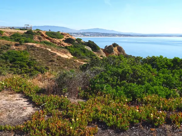 stock image hiking from beach praia de dona ana in Lagos, Portuhgal, to ponta de Piedade on new wooden broadwalks