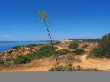 Ponta da Piedade 'den Praia do Porto de Mos' a, güzel Portekiz Algarve sahillerinde yürüyüş.