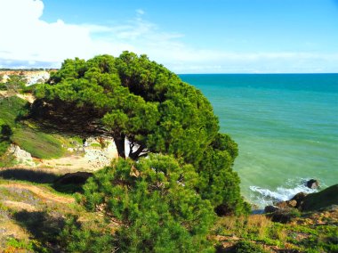 Portekiz 'in Algarve kıyısındaki Olhos de Agua' nın güzel plajı.