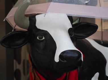 İberya Bira Dükkanı 'nın inek maskotu ve yağmurda şemsiyesi.