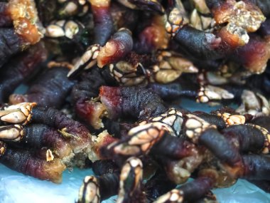 Lepas anatifera ya da kaz midyesi markette satılır.