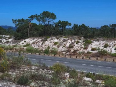 Portekiz 'de kum tepeleri ve doğa ile troia yarımadası manzarası