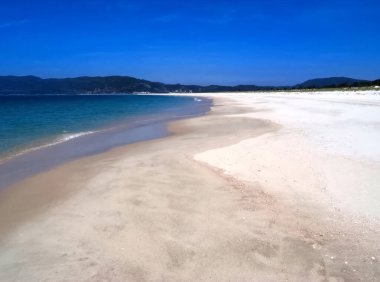 Portekiz 'deki Yarımada de Troia Arrabida Milli Parkı' nda