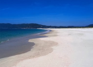 Portekiz 'deki Yarımada de Troia Arrabida Milli Parkı' nda