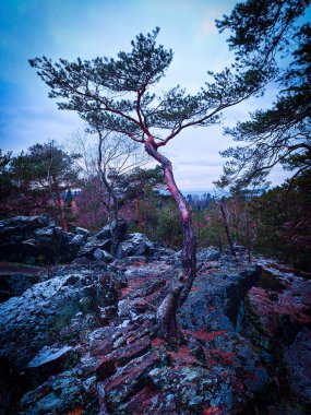 Doğanın güzel manzarası