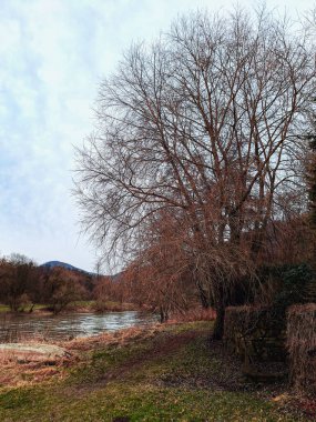 Doğanın güzel manzarası