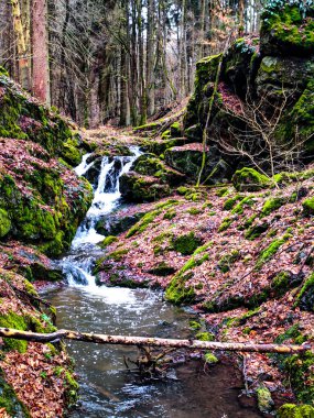 Ormanda güzel bir şelale