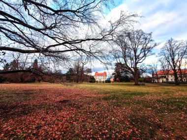 Çek Cumhuriyeti Valec 'te parktaki harabeler