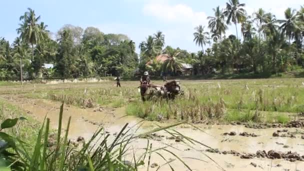 North Aceh Indonésia Fevereiro 2024 Agricultores Usam Tratores Manuais Para — Vídeo de Stock