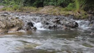 Vahşi dağ nehri büyük kayaların arasından akar. Bolca temiz su akışı. Soğuk su ormanın yakınına sıçrar. Kayalardan küçük bir şelale. Su arkaplanı kavramı.