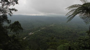 Dönek yolu ve bulutlu gökyüzü olan ormanlık bir vadi. Sahne seyahat dergileri, doğa blogları ya da ilham verici posterler için mükemmel..