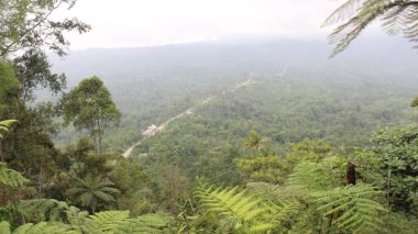 Dönek yolu ve bulutlu gökyüzü olan ormanlık bir vadi. Sahne seyahat dergileri, doğa blogları ya da ilham verici posterler için mükemmel..