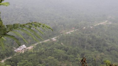 Dönek yolu ve bulutlu gökyüzü olan ormanlık bir vadi. Sahne seyahat dergileri, doğa blogları ya da ilham verici posterler için mükemmel..