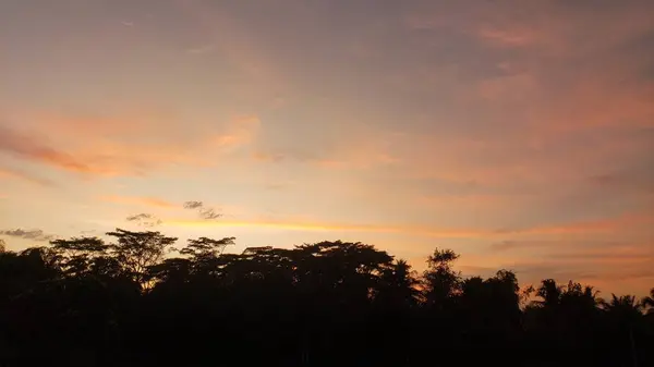 Siluetli Ağaçlar Günbatımına Karşı