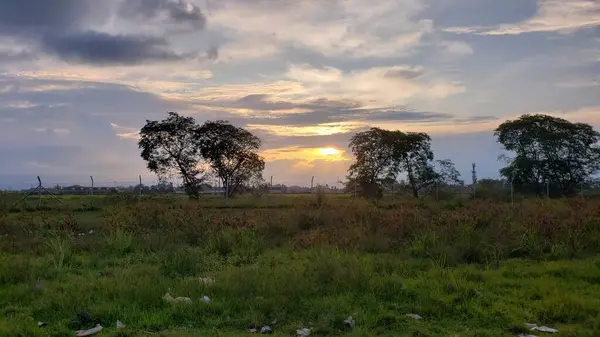 Siluetli Ağaçlar Bir Tarlanın Üzerinde Günbatımına Karşı
