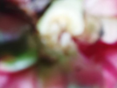 Pembe, Beyaz ve Yeşil Renkli Bulanık Özgeçmiş. Duvar kağıdı ya da arkaplan olarak kullanılabilir