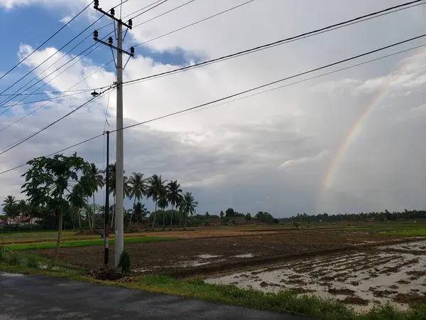 Palmiye ağaçları ve elektrik hatları olan kırsal bir alanda Gökkuşağı Yayı