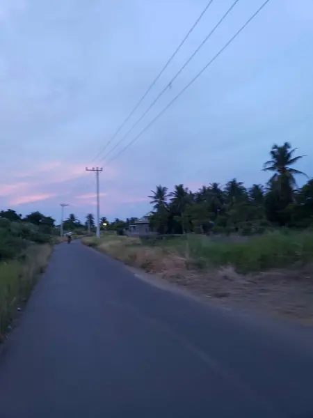 Gün batımında pembe ve mavi gökyüzüne karşı ağaçlar ve elektrik hatlarıyla kaplı ıssız bir yol.