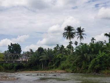 Bereketli bir Tropikal Ormanda Köprü ile akan bir nehir.