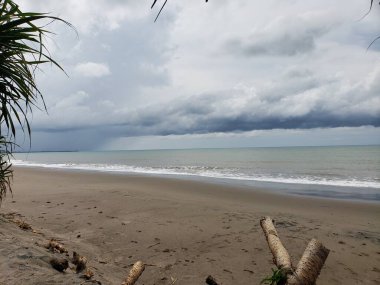 Fırtına Bulutları ve Driftwood 'lu Sandy Plajı