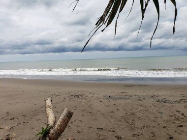 Tepesinde palmiye dalları olan kumsalda ayak sesleri.