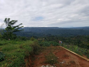 Bulutlu bir günde Yoğun Yeşil Orman