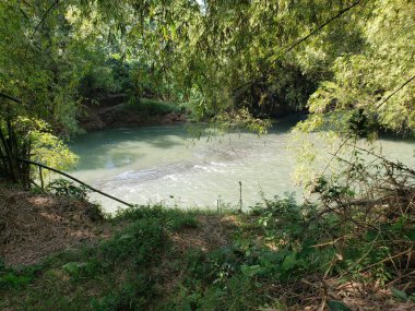 Bereketli yeşil yapraklar arasında akan sakin bir nehir.