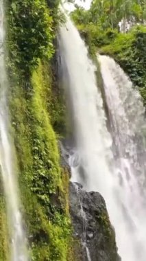 Ormanda şelale.