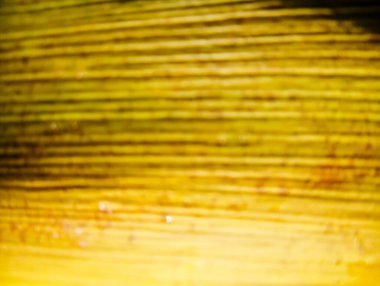 Bulanık ışık izleri, arkaplan