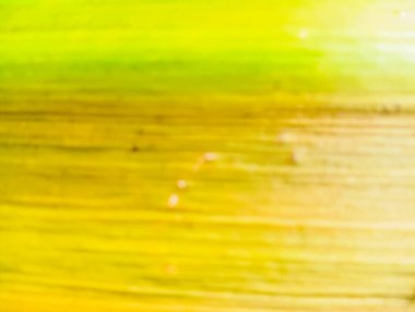 Sarı, yeşil ve kahverengi gradyan renkleri olan soyut bulanık resim.