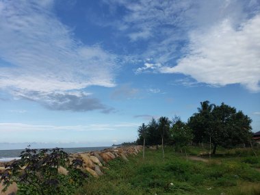 Mavi Gök, Bulutlar, Ağaçlar ve Taş Duvarlı Kıyı Manzarası