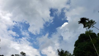 Beyaz Bulutlu Mavi Gökyüzü ve Siluetli Palmiye Ağaçları