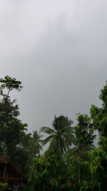 Çatı Bakışıyla Gri Gökyüzüne Karşı Yeşillik