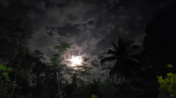 Dolunay Siluetli Ağaçlar ve Bulutlu Gece Gökyüzünü gözetliyor