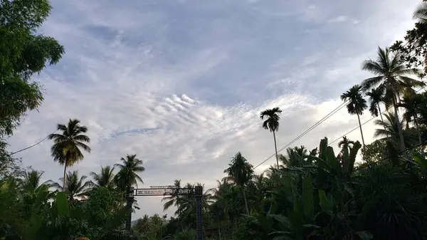 Lüks Tropikal Ayarlarda Hoş Geldiniz İmzası