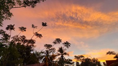 Siluetli Ağaçlar ve Palmiyelerle Günbatımı Gökyüzü