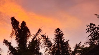 Siluetli Palmiye Ağaçları Canlı Günbatımına Karşı