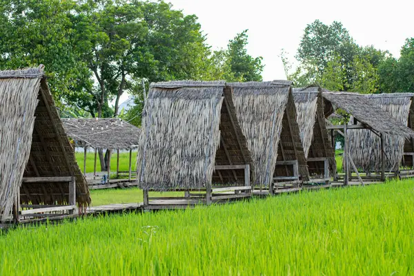 Geleneksel ev bambu yaprağı sapları ve kahverengi hindistan cevizi yaprakları, geleneksel ahşap duvarlar.