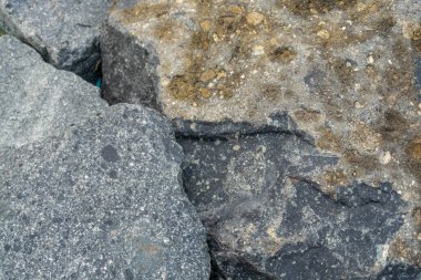 Sahildeki granit kayaların fotoğrafı ve midyelerle kaplanmış, doğa, açık hava, kayalar, öğleden sonra sahildeki kayalar.