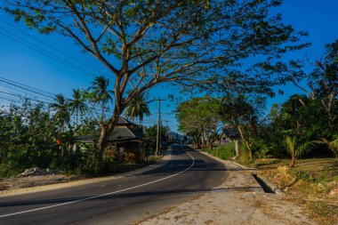 Dönüş Yolu 'nun yanındaki Büyük Ağaçlar mavi ve açık gökyüzü koşullarıyla dolu uzun bir yol. Doğa ve seyahat kavramı