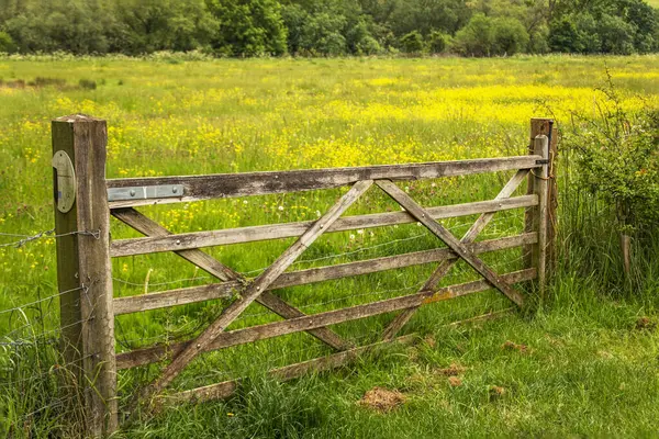 Wooden gate into buttercup flower filled meadow. High quality photo
