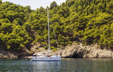 Arka planda kayalık kayalıklar ve çalılar olan bir körfezde modern bir yat. Yüksek kalite fotoğraf