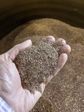 Bakır süperdöngüyü besleyen atık kablolardan elde edilen bakır taneciklerle dolu bir el. Yüksek kalite fotoğraf